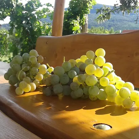 Hangvilla Badacsony Nyaraló *